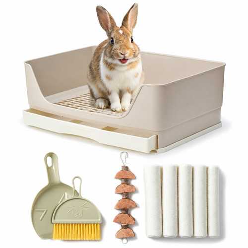 Small animal pet - small, toilet