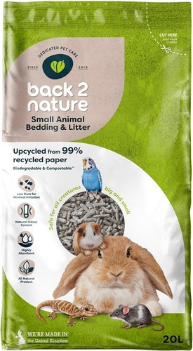 Back nature small animal - 2,