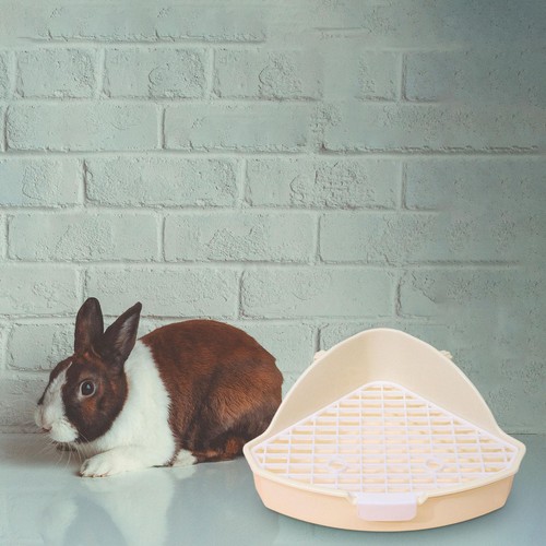 Rabbit litter box - litter, anti