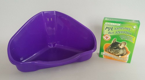 Chinchilla corner litter with - chinchilla,