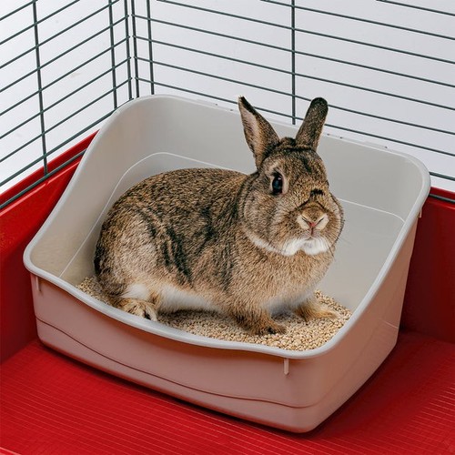 Ferplast rabbit litter tray - litter,