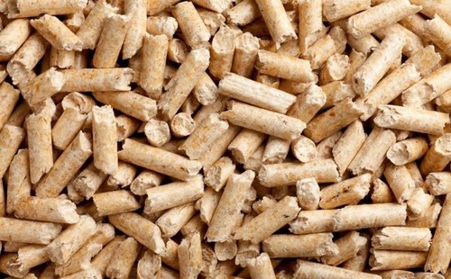 Cat litter 1kg - cat,
