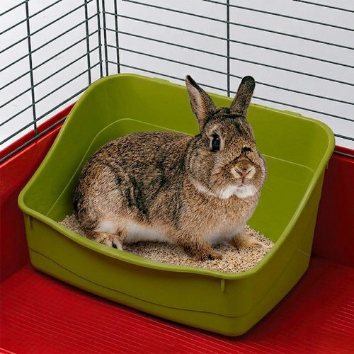 Ferplast rabbit litter tray - ferplast,
