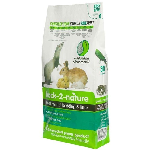 Back nature small animal - 2,