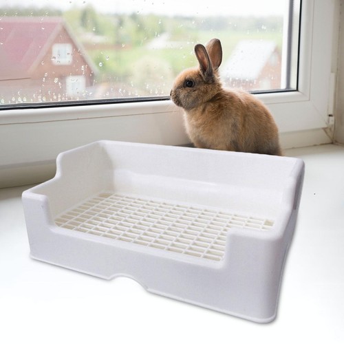 Rabbit litter boxes small - rabbit,