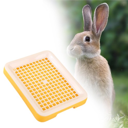 Hamster potty litter - hamster,