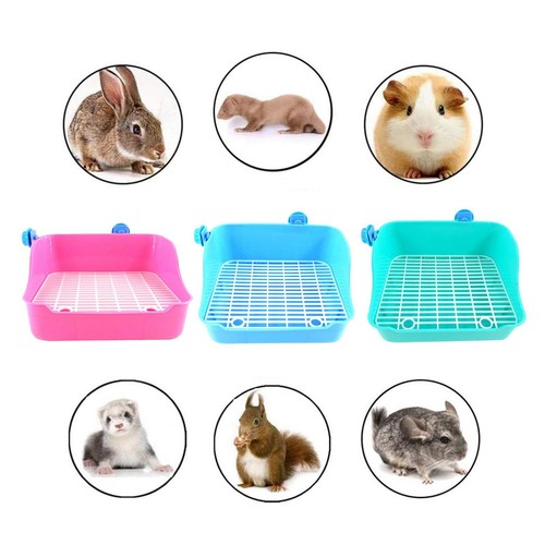 Small pet rabbit - litter, box